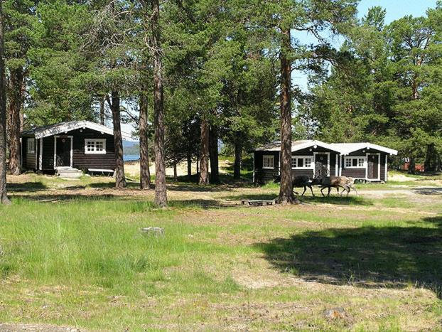 Femundtunet Drevsjø Exterior foto